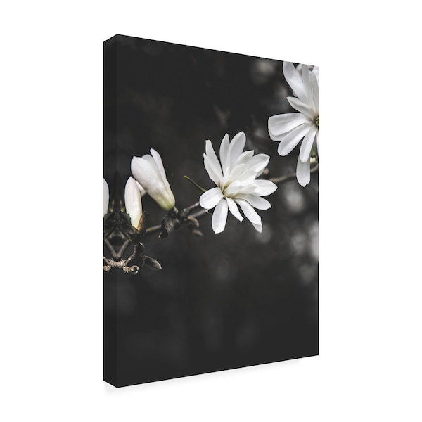 Design Fabrikken 'White Flowers Fabrikken' Canvas Art,14x19